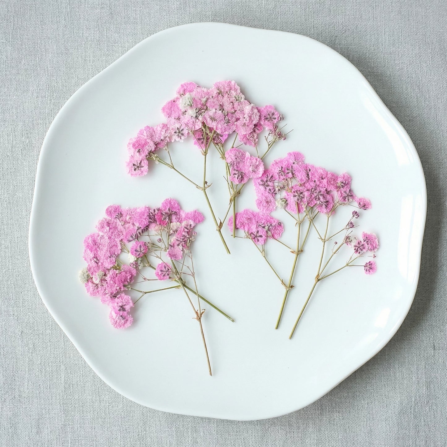 ART EMBOSS Gypsophila Dried Flowers for Wax Seal Baby's breath pink