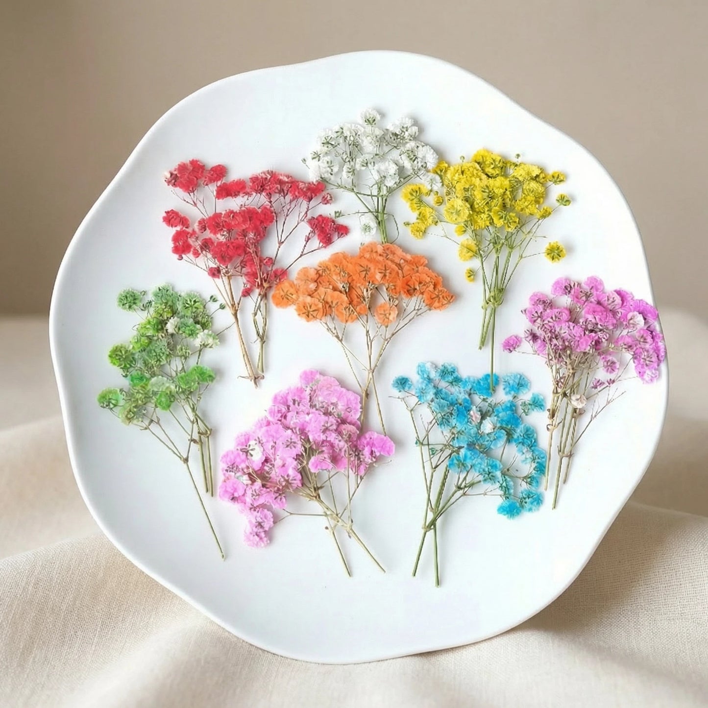 ART EMBOSS Gypsophila Dried Flowers for Wax Seal