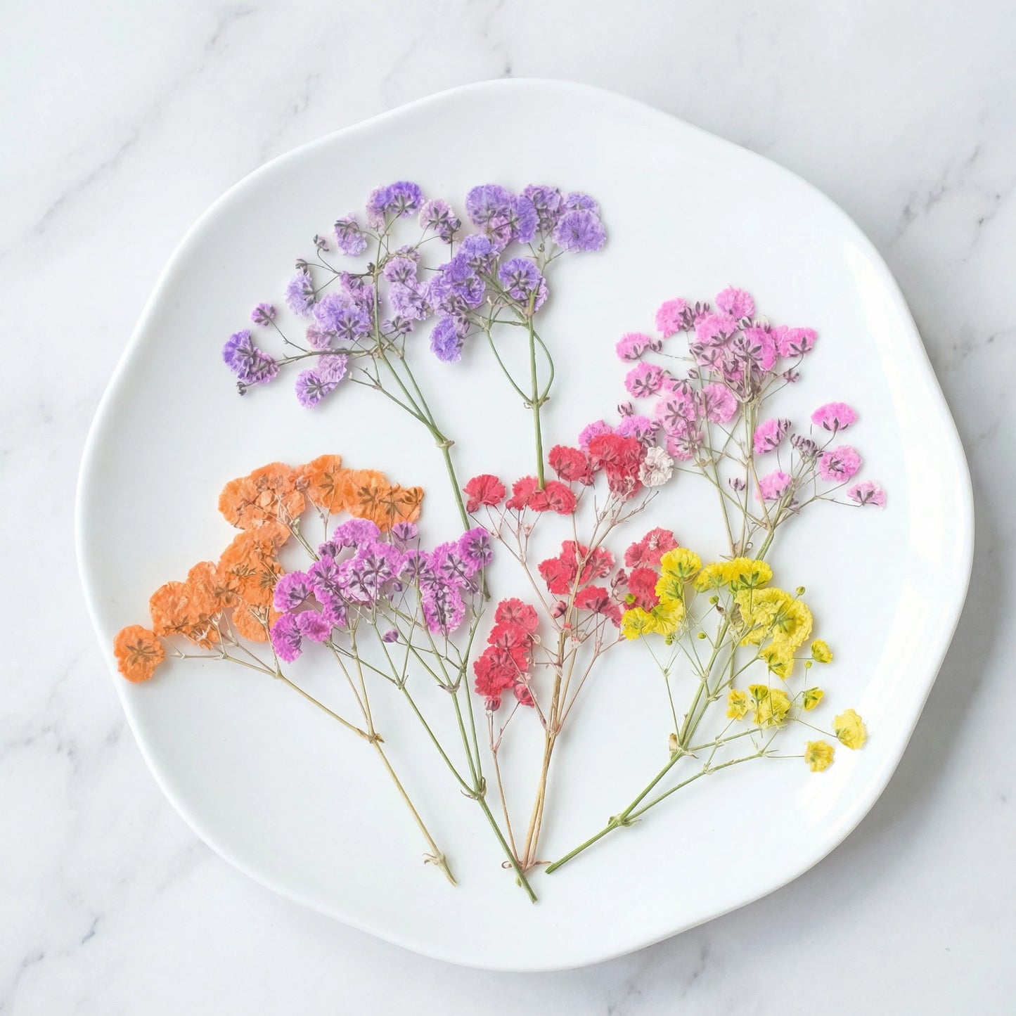 ART EMBOSS Gypsophila Dried Flowers for Wax Seal