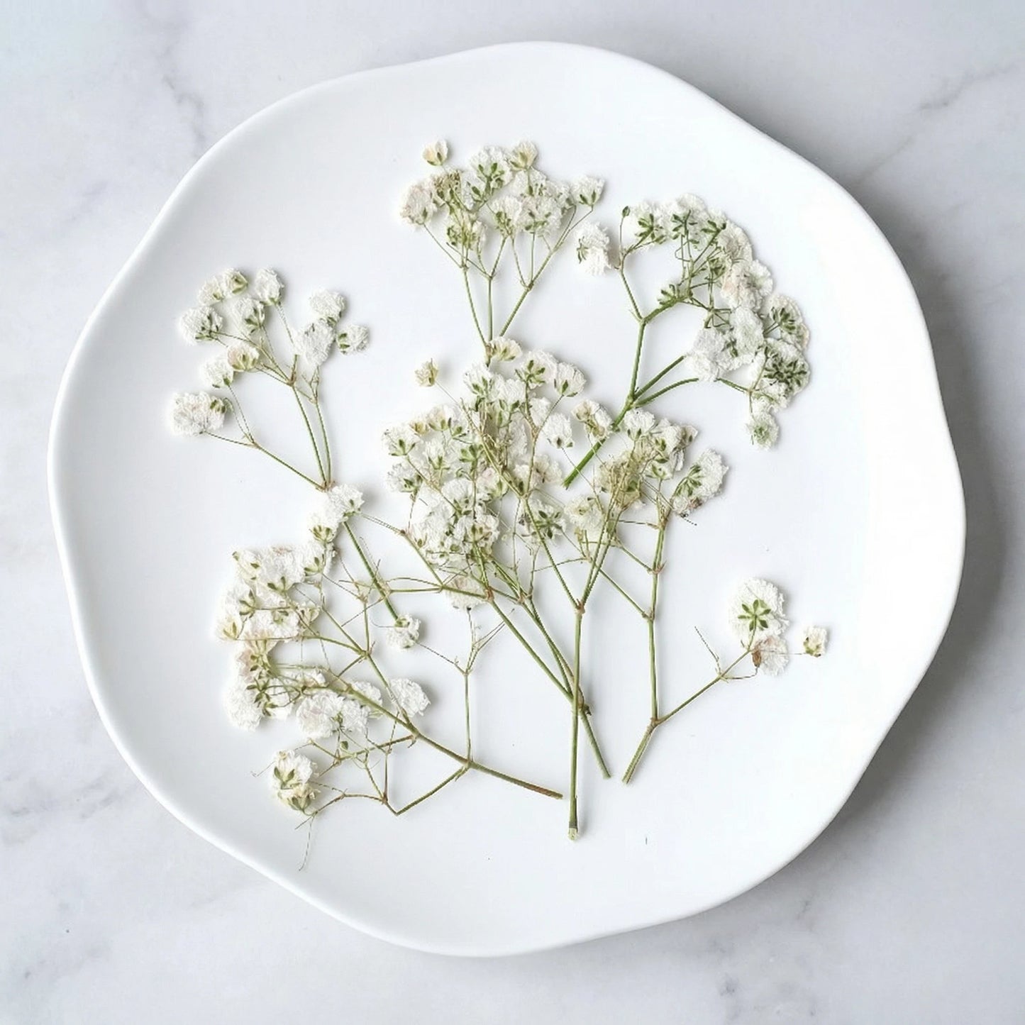 ART EMBOSS Gypsophila Dried Flowers for Wax Seal Baby's breath natural white