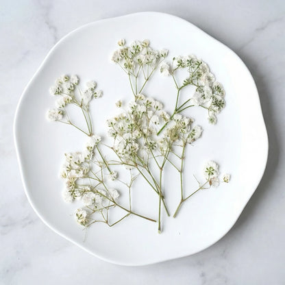 ART EMBOSS Gypsophila Dried Flowers for Wax Seal Baby's breath natural white