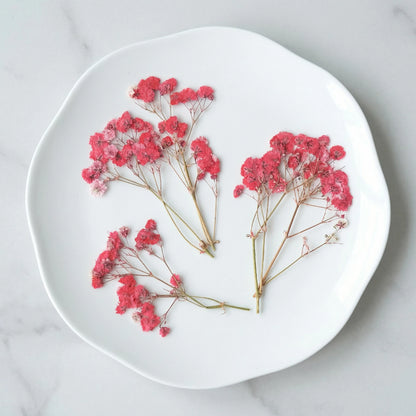 ART EMBOSS Gypsophila Dried Flowers for Wax Seal Baby's breath red