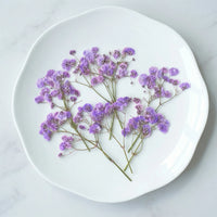 Starry sky purple