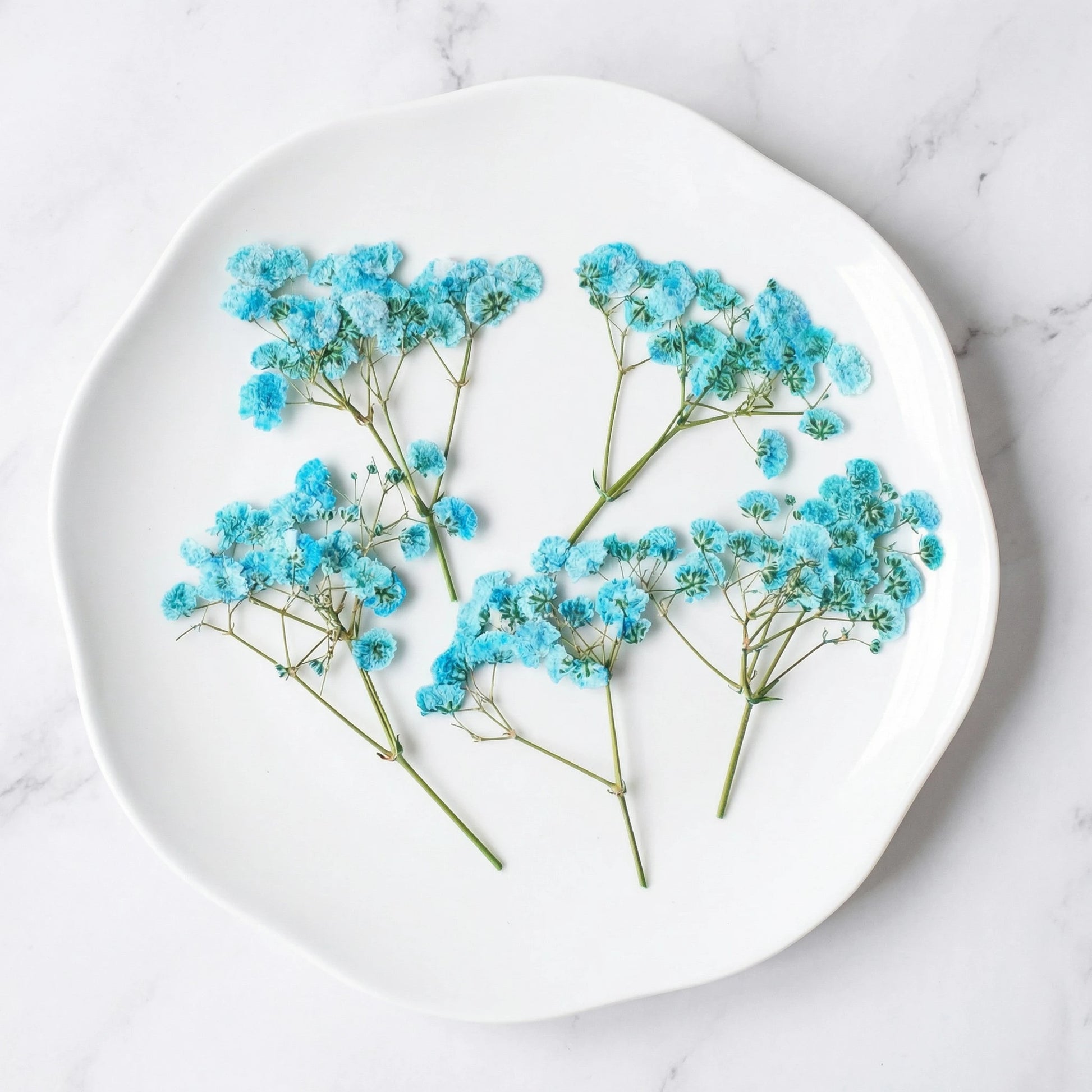 ART EMBOSS Gypsophila Dried Flowers for Wax Seal Starry blue