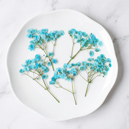 ART EMBOSS Gypsophila Dried Flowers for Wax Seal Starry blue