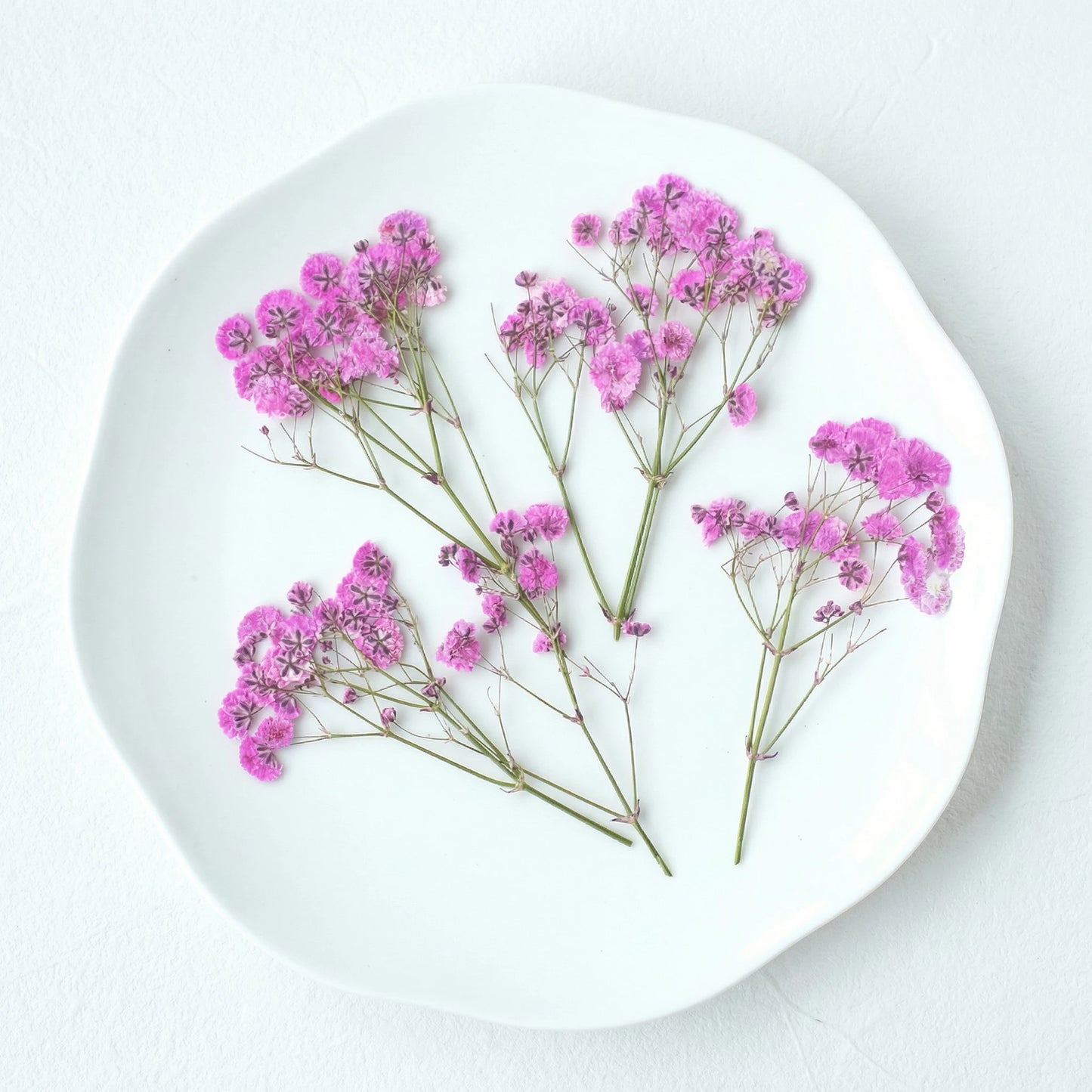 ART EMBOSS Gypsophila Dried Flowers for Wax Seal Baby's breath deep pink