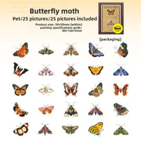 Insect specimen illustrated series - moth & night moth 25/piece