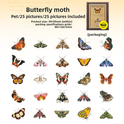 ART EMBOSS Floral Whispers PET Sticker Pack – Watercolor Flower Stickers (15 Sheets) Insect specimen illustrated series - moth & ni