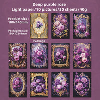 Deep purple rose