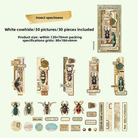 Insect specimens
